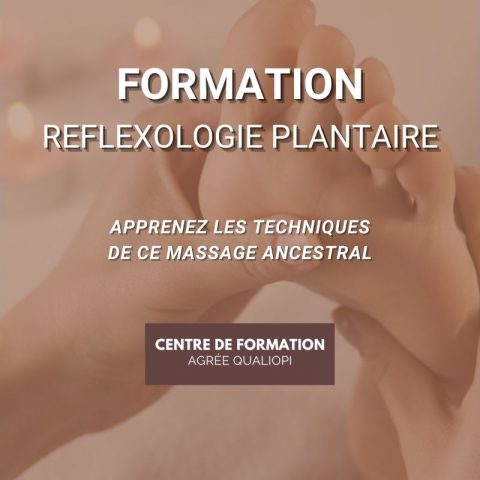 Réflexologie Plantaire - Le Studio - Centre de Formation