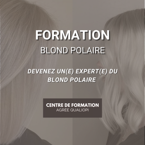 Formation Blond Polaire - Le Studio Centre de Formation